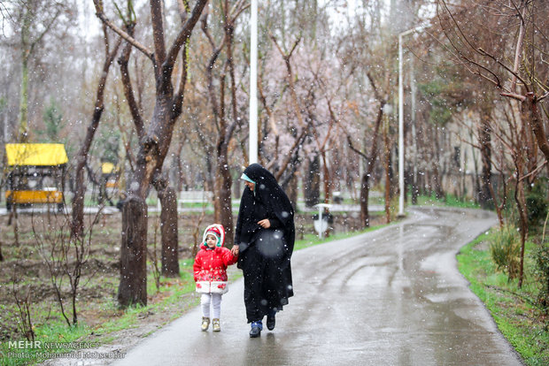 Spring snow in Karaj