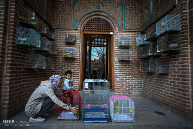 جشنواره اسباب بازی‎