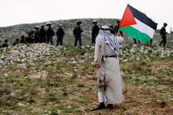 ناشط عربي: فلسطين مصدر هوية المسلمين وهي أمانة الرسول (ص) /فيلم