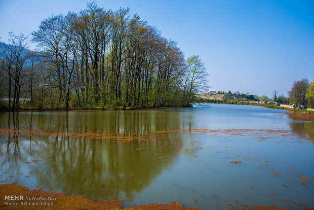 Soostan Lagoon in Lahijan