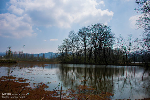 Soostan Lagoon in Lahijan