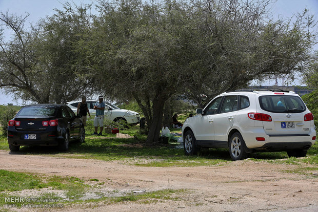 Kish Island in Nature Day