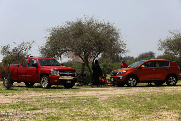 Kish Island in Nature Day