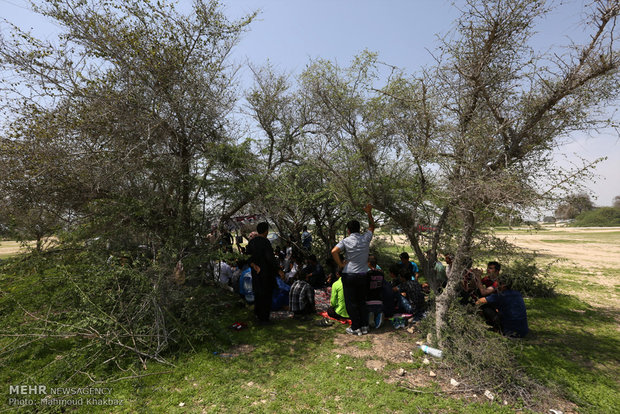 Kish Island in Nature Day