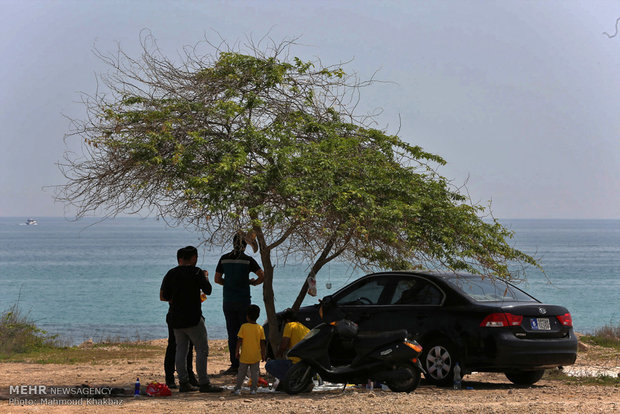 Kish Island in Nature Day