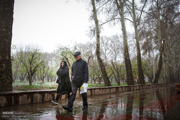 Spring snow in Karaj