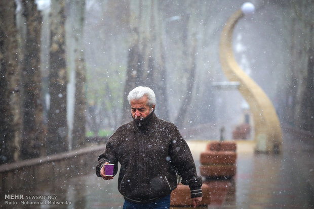 Spring snow in Karaj