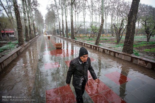 Spring snow in Karaj