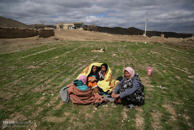 توزیع ۱۵ هزار غذای متبرک امام رضا(ع) در مناطق زلزله‌زده