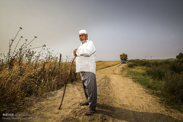 A view of daily life in Iran – 68