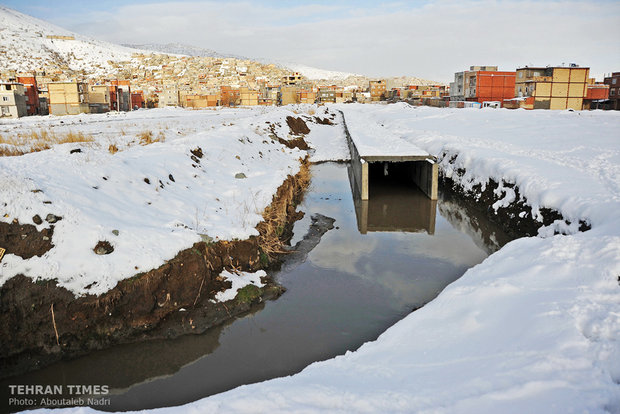 Pouring the domestic sewage in the lake is also presenting a great hazard to the species inhabiting the lake.