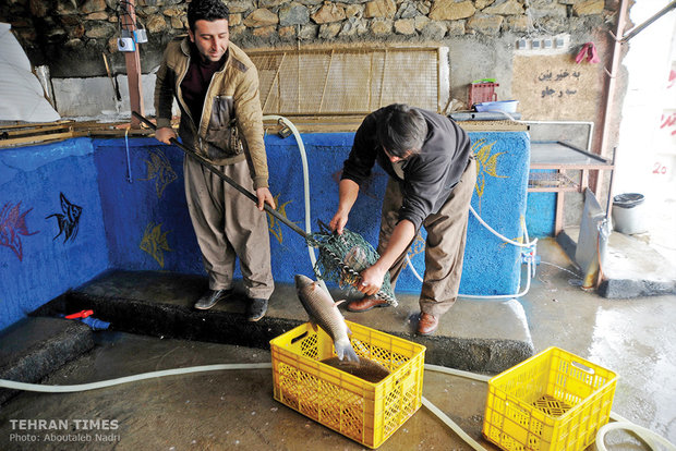 Despite the fact that the lake used to be a source of providing fish for the locals, currently they have to buy fish from fish farms in Amol and Babol, northern province of Mazandaran. 