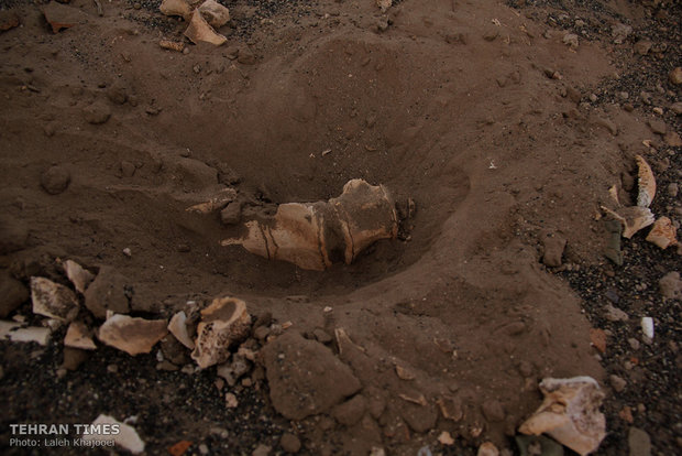 Sandstorm unearths historical site in southeastern Iran