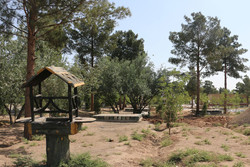 صدور سند مالکیت برای پارک جنگلی ارومیه