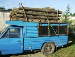 ۲۳ اصله انواع چوب های جنگلی قاچاق در لاهیجان کشف و ضبط شد