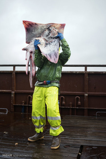 زندگی یک ماهیگیر در آلاسکا‎