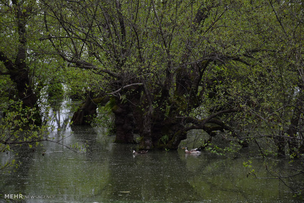 Estil Lagoon of Astara