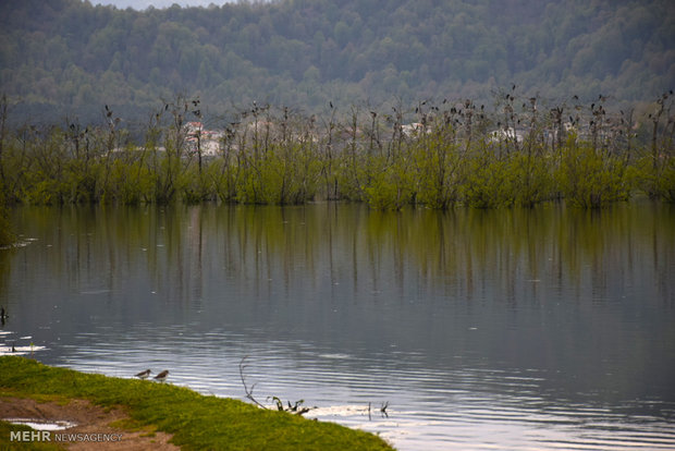 Estil Lagoon of Astara