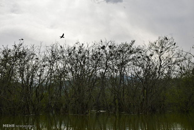 Estil Lagoon of Astara