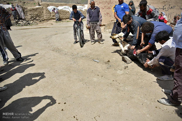 Operation started to rebuild quake-hit areas of NE Iran