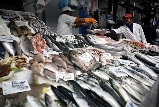 Global export value of seafood products reaches $142 bn in 2016