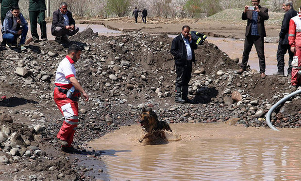 پرسنل هلال احمر به ۴۴ روستای سیل زده امداد رسانی کردند