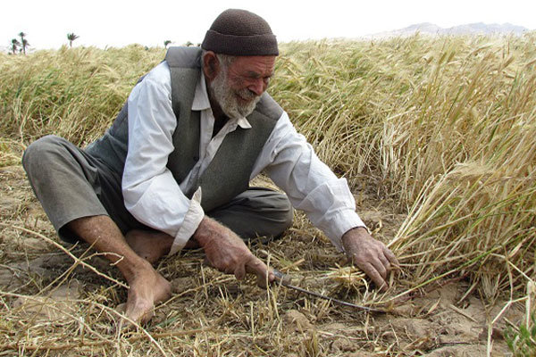  صدور « یارا کارت» بانک کشاورزی در خرداد ماه