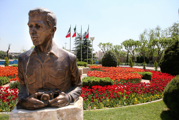 Spring of tulips in Tehran