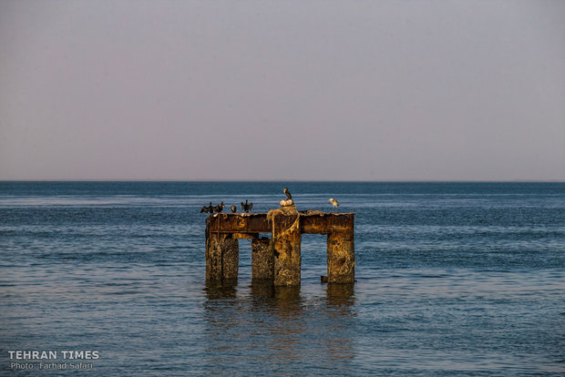 Photo collection portrays life in Hormuz Island