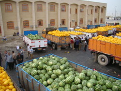 صادرات بیش از یک میلیون تن محصولات کشاورزی از استان کرمانشاه