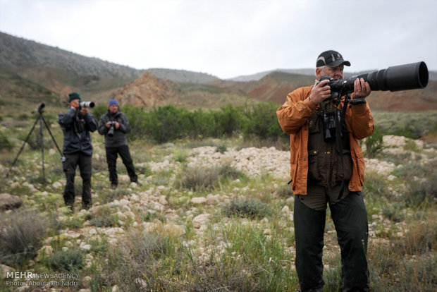 Golestan Natl. Park hosts Swedish birdwaching group