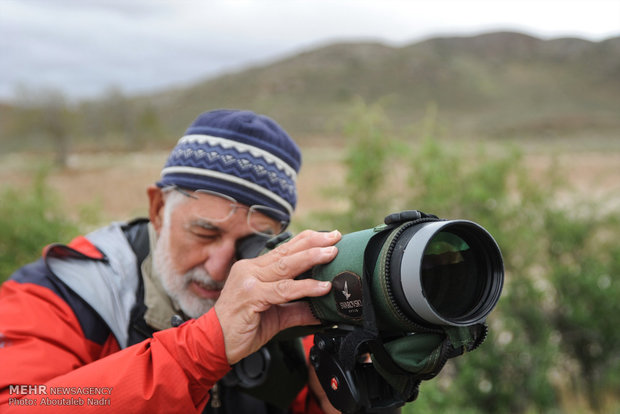 Golestan Natl. Park hosts Swedish birdwaching group