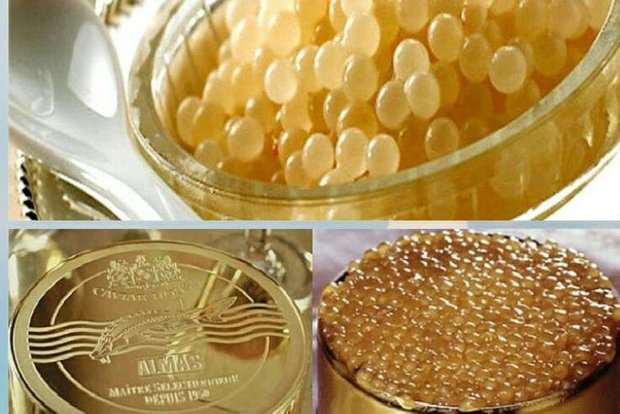 صادرات ۶۲۵ هزار دلاری خاویار در ۸ ماه صادرات ۶۲۵ هزار دلاری خاویار در ۸ ماه