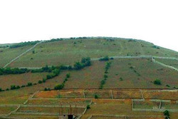 اراضی شیب‌دار گلستان؛ از کانون بحران تا موتور محرک اقتصاد