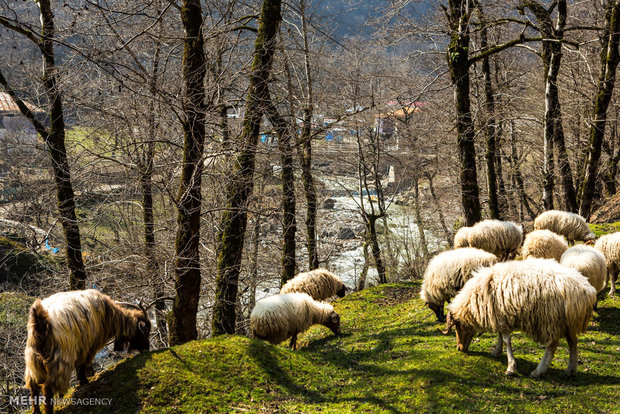 تعطیلات در ایران