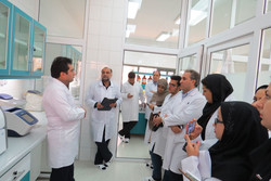متخصصان ایرانی با شیوه های جدید نابودی سلول های سرطانی آشنا شدند