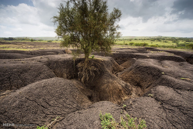 تخریب ۵ قرن در چند ثانیه/ خاک گلستان در خطر است