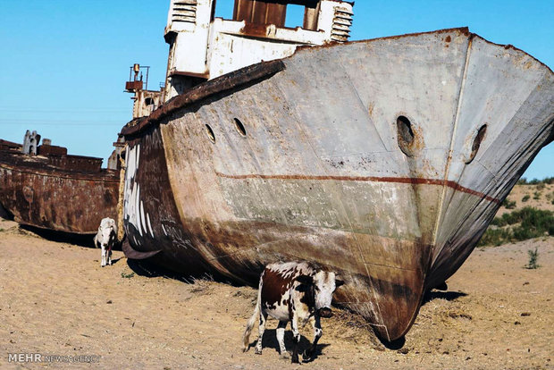 گورستان کشتی ها در وسط کویر‎