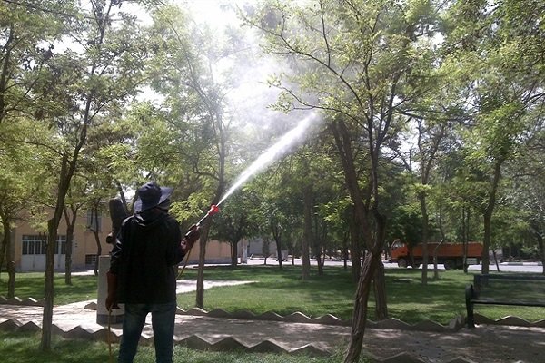 اجرای طرح پایلوت استفاده از «سم ارگانیک» در غرب تهران