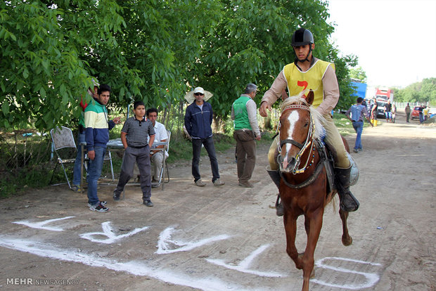 رقابت های سوارکاری استقامت در سنندج برگزار شد