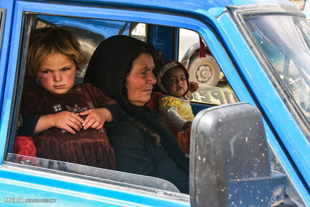 ورود دام های عشایر و کوچ نشینان به مراتع شهرستان شهرضا‎