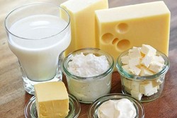 Iran to uplift dairy, fishery exports to Russia