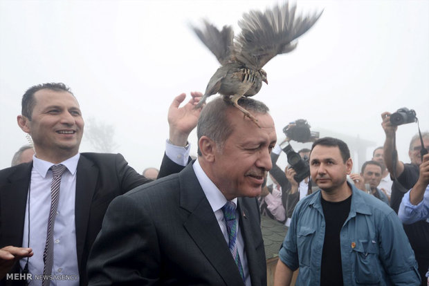 Recep Tayyip Erdoğan’ın siyasi yaşamı