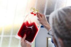 تولید سلولهای بنیادین خونی در آزمایشگاه