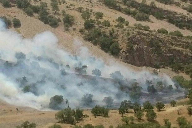 آتش سوزی در جنگل های استان ایلام