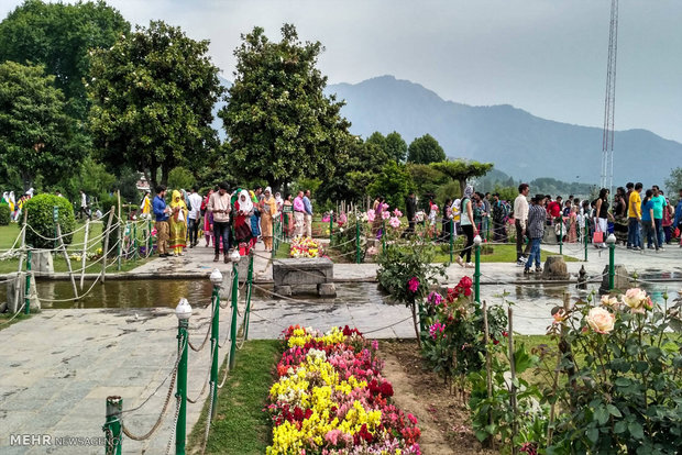 Nishat Bagh in Kashmir