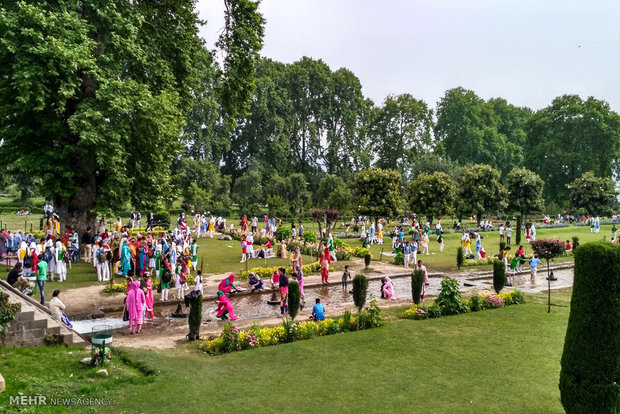 Nishat Bagh in Kashmir