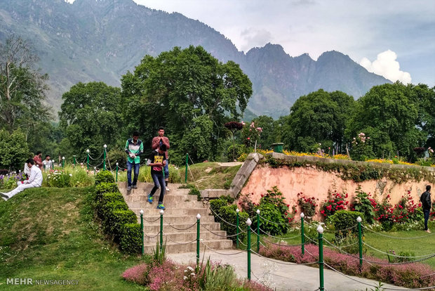 Nishat Bagh in Kashmir