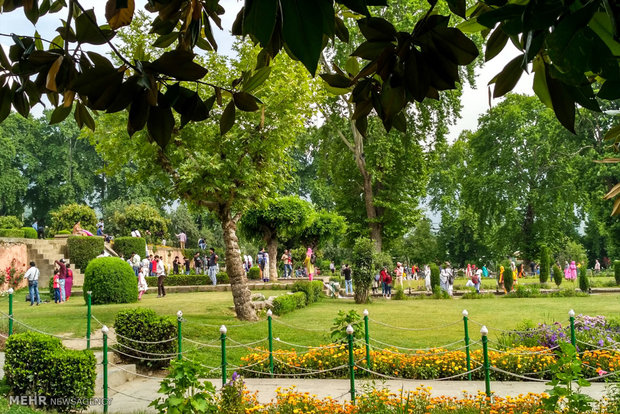 Nishat Bagh in Kashmir