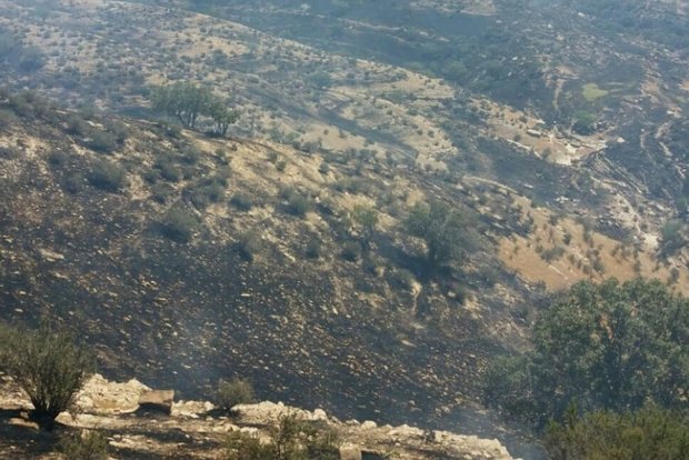 آتش‌سوزی در جنگل‌های شهرستان ایوان